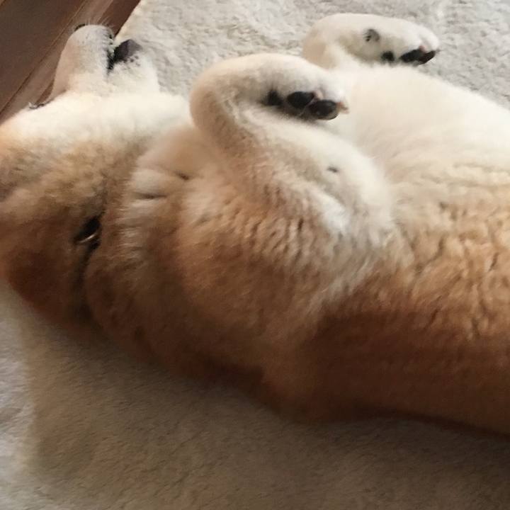 2300c388 99bb 4c80 8680 a521420ecebb 1525405763584