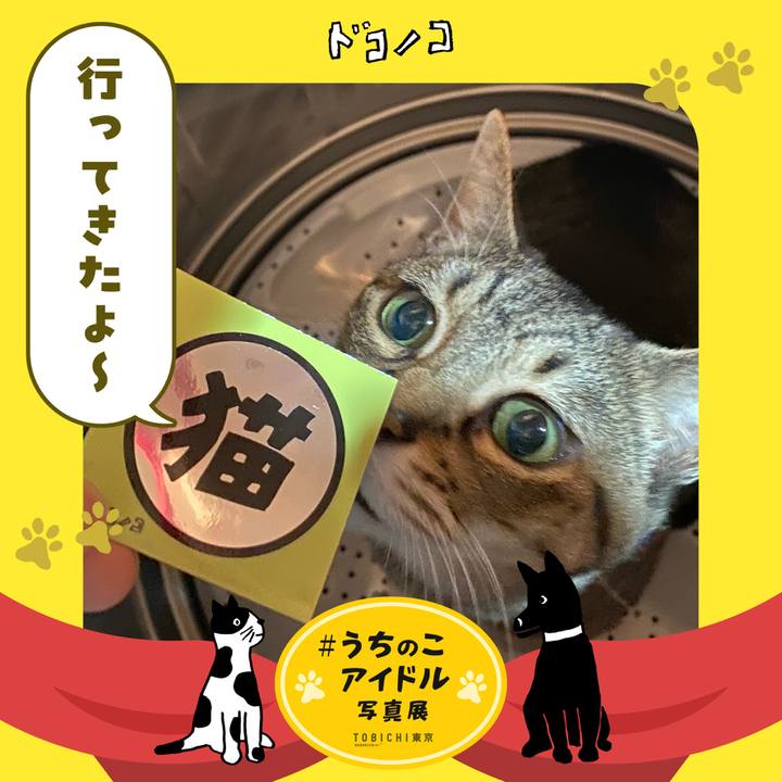 2300f1ec 94ac 4306 bb16 fc8989533f77 1761406457815