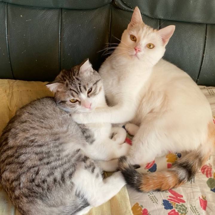 23011257 60d2 4bb2 8c0a 652d108c9f73 1606835546155