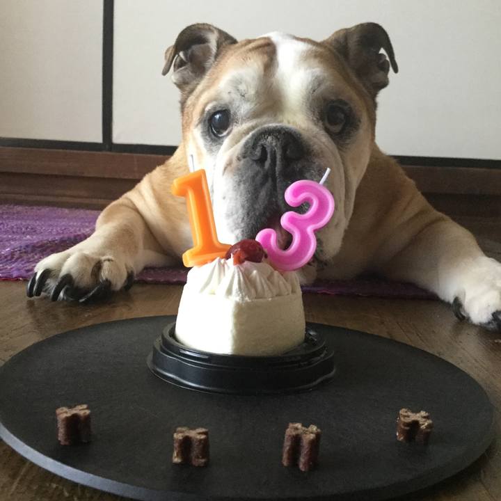 23014cbb c6e8 432e ac57 3bddb851f8dd 1684912271187