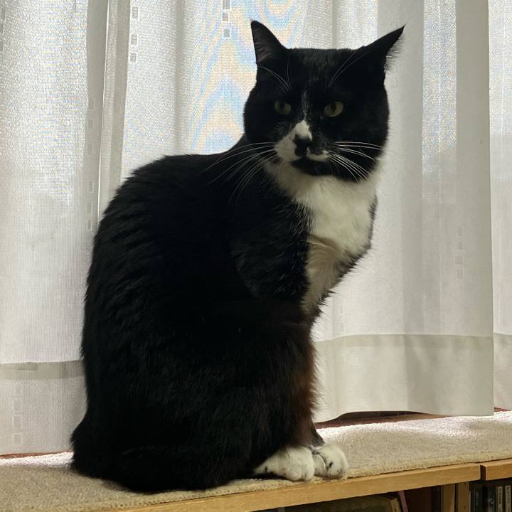 23015237 1396 42d2 9a7e 7c80ab77ab66 1712548599542