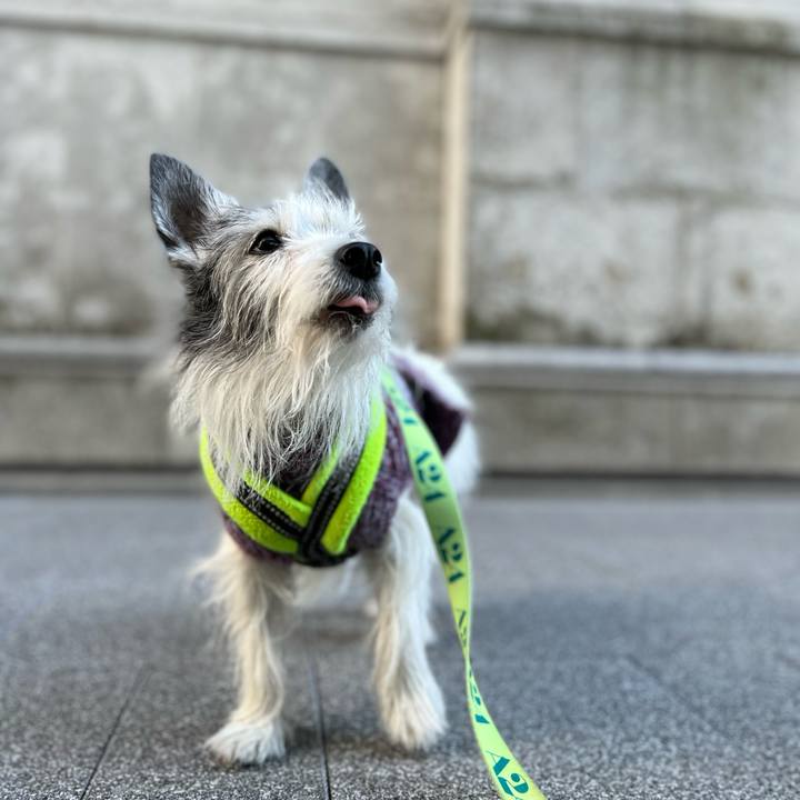 23017682 b3c5 45fd a299 87f847d49130 1645968422698