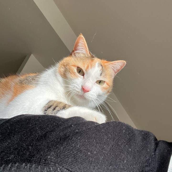 230197e1 421c 4705 8f83 f9e0d49d41df 1762816638206