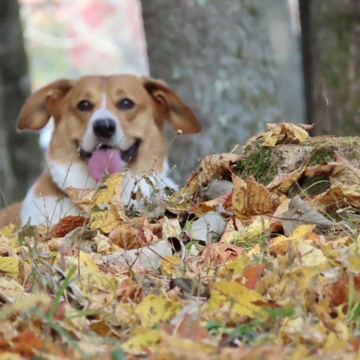 23019ceb 4165 45fe b0b9 9aec4a86f202 1700182643089