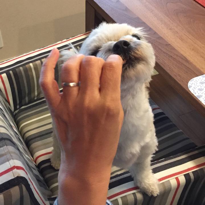 2301a292 a1b2 43bc b2ce d152f4d7b66b 1521370943493