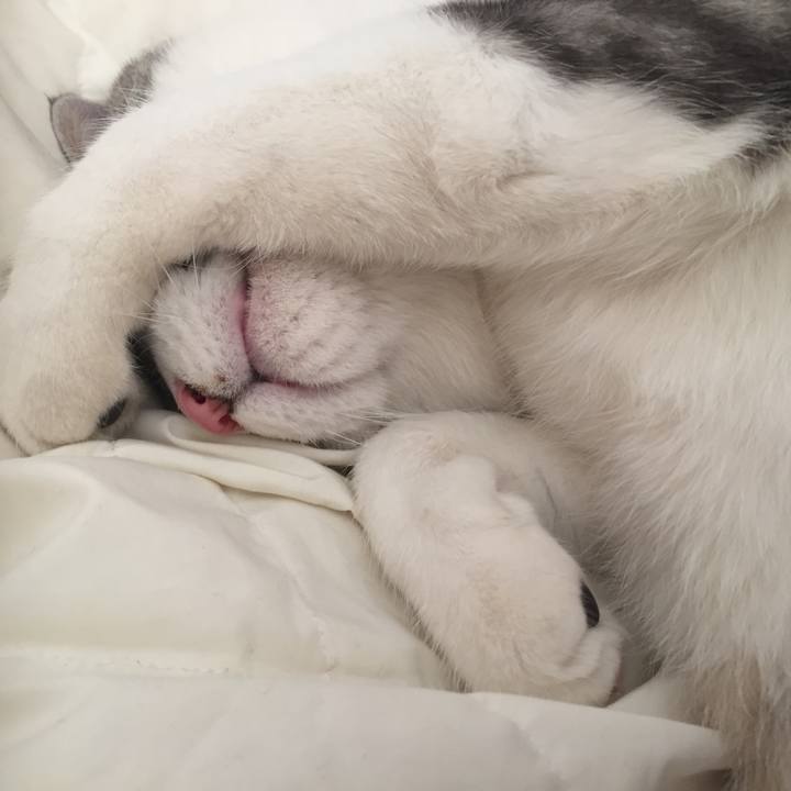 2301d837 c18c 472d a7bf 2fe8af1f3f37 1543240110127