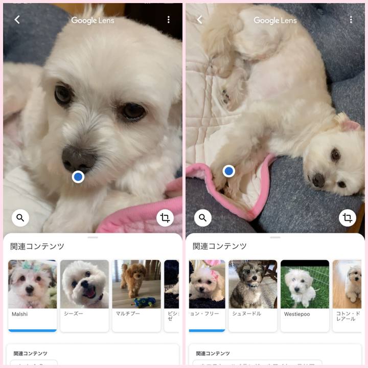 2301fea6 fc75 49da b7af 60b30351e41a 1592832468303