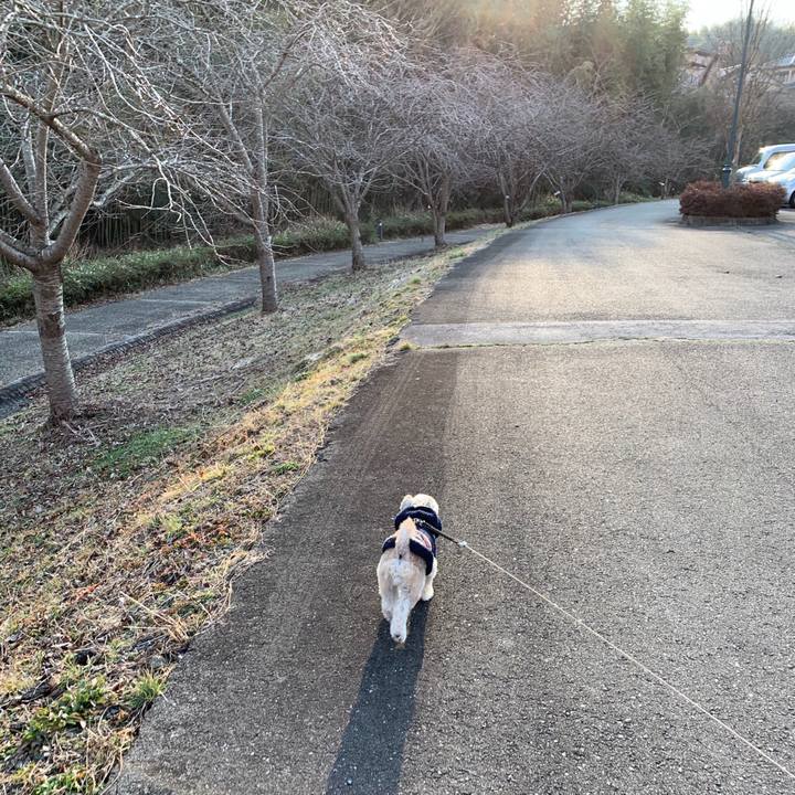 2302196c f3d0 4c27 a77d fdbfd9427a3e 1551436565059