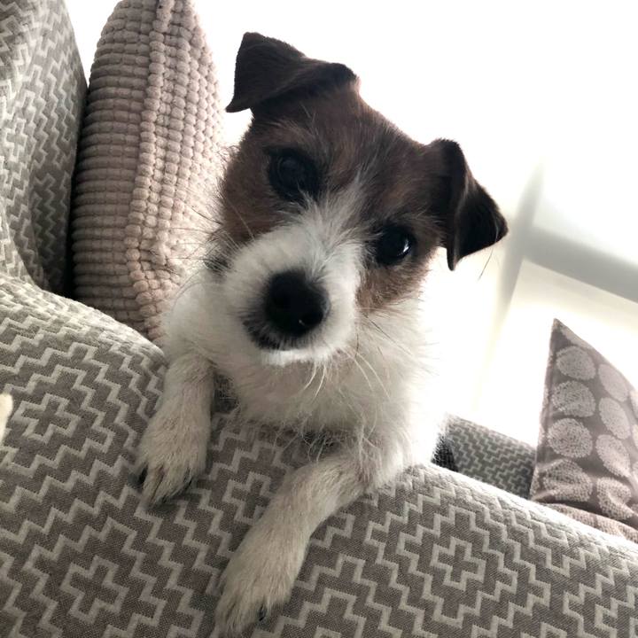 23022fa5 8818 4e03 ab5e 01454ea1a4a2 1610261190602