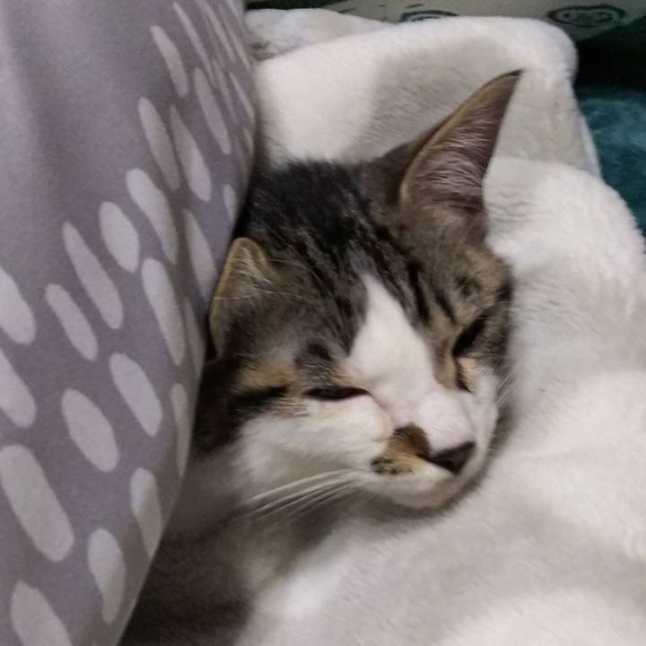 23023333 e1c3 4c30 b4e0 83393449660a 1611391119966