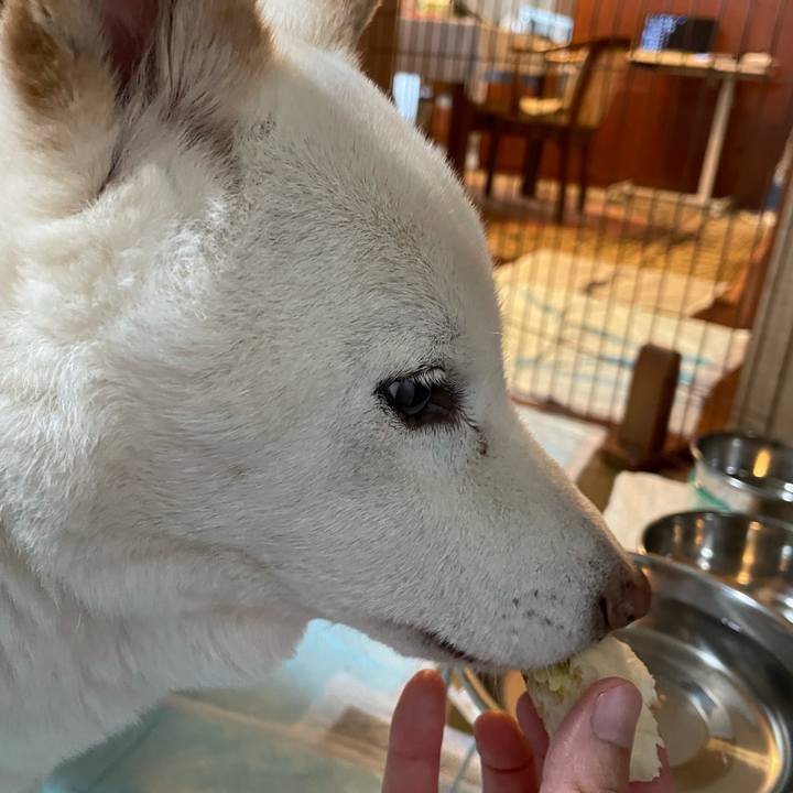 23023555 70de 4a04 bdbb 5fa1f14e24fa 1634776316289