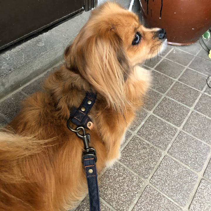 23028c04 352f 47e8 89f3 bc4c67dce69f 1569794476769