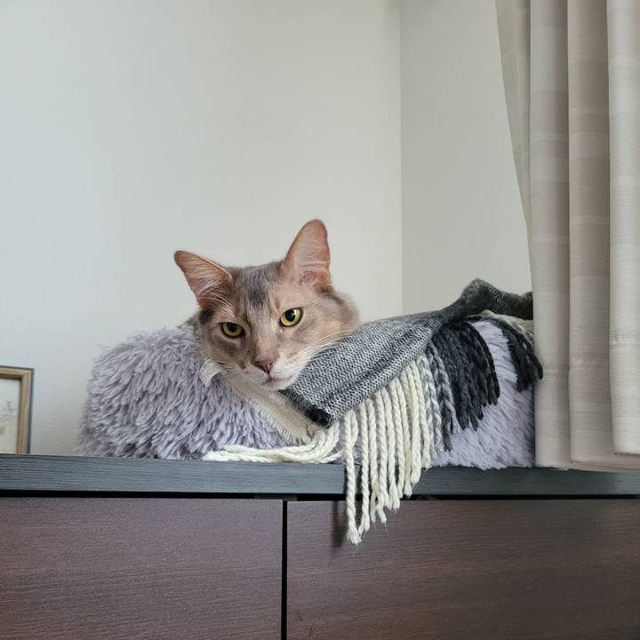 2302cbb7 f850 4ec0 8dd9 7b97f4e5d2b1 1682733735397