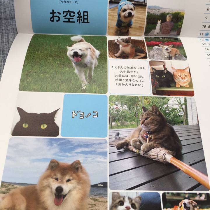 23031849 1e47 4074 9dac 9d98d2806e0e 1513232324701