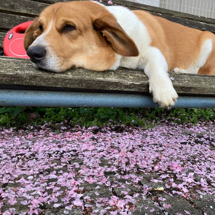 23034cca a3ee 43dd b489 a326397f4acd 1650376325077