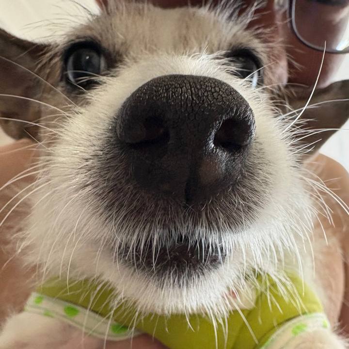 23037ca2 e2cb 43e8 bc6c 2e10198f2555 1757029251008