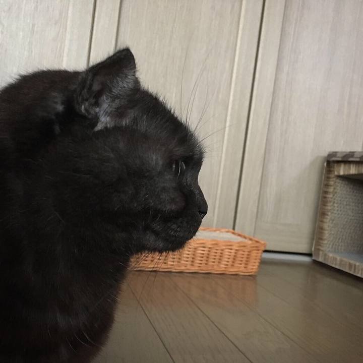 23037edc 6615 4034 a103 1d0f462c7344 1551600615595