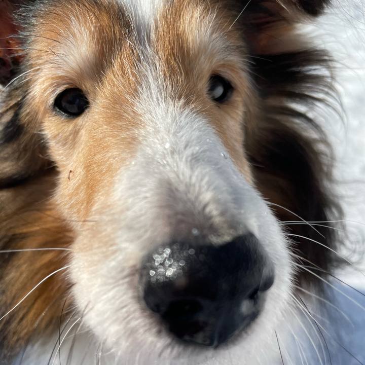 2303824a 8c65 49bf 94fa 50ffa492fedf 1615801856553