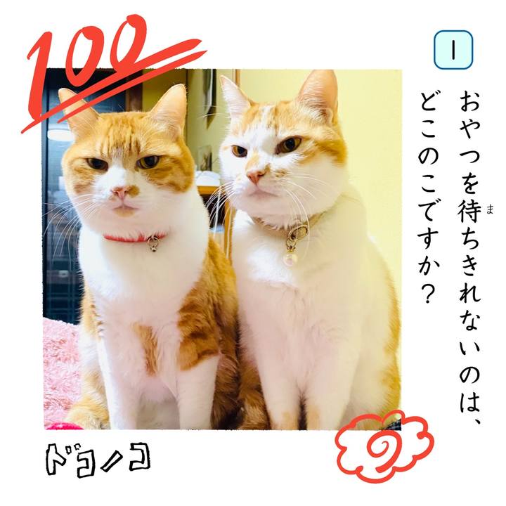 2303eafd a290 44e0 bd29 f12e9d372614 1744388369313