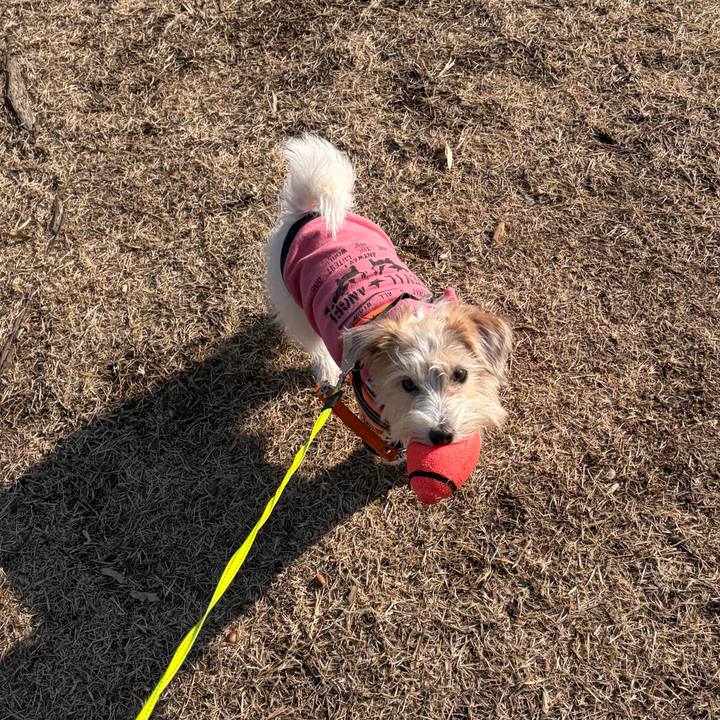 2303f7e4 302e 4353 bfe1 b9866f0ac2c0 1771161792342