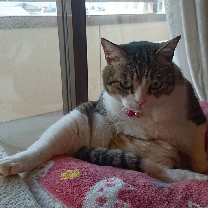 2303f856 05b1 4009 93b6 71a5ecebd749 1553555808494