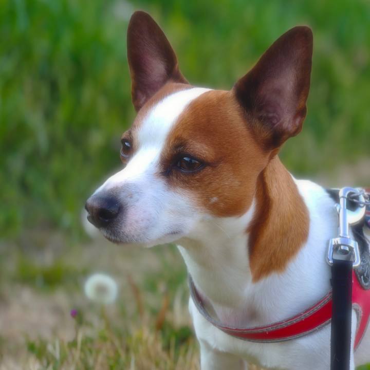 2304065f ae81 438d 8b5a a9fb4997dc6a 1554374884875