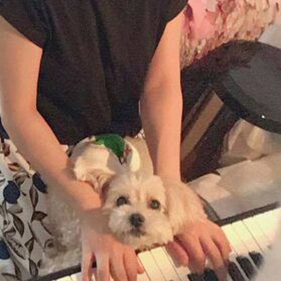 2304204f 9840 46c4 81da 20f34fba0861 1565562061228