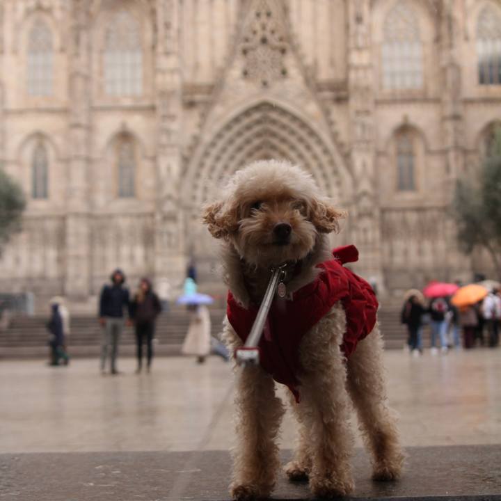 23047534 00e5 47ca 99f8 0382f96411d5 1518101264421