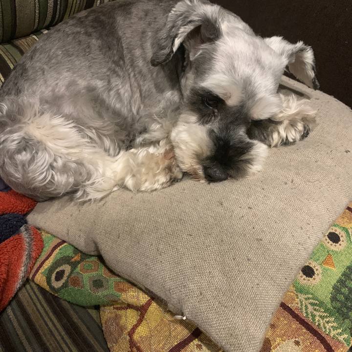 2304af97 a811 4c0d 8321 4f767ca26c8d 1660643151576