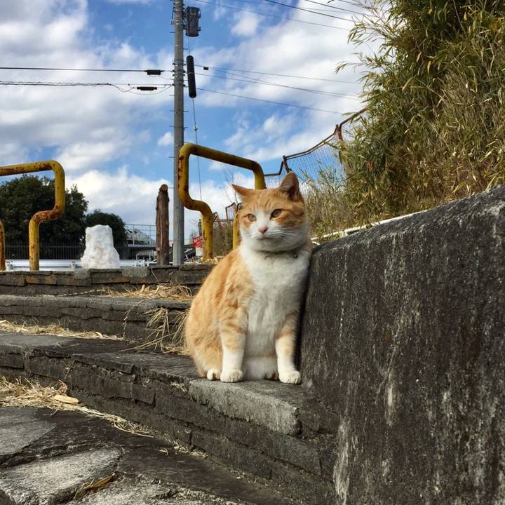 2304b326 49b5 4fdb b025 1e79a6939bdb 1516957224928