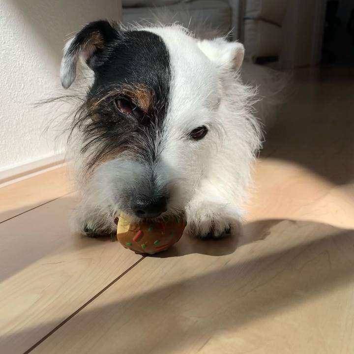 2304da15 96b9 49f0 8cc7 2ac60e14adbf 1666747593877