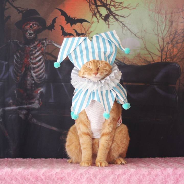 2304dc2e 5dc2 4107 84d9 8a4ad193bfe0 1697443193294