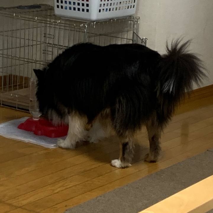 2304e5a6 78be 421c 9471 3cc473d7f137 1590011526242