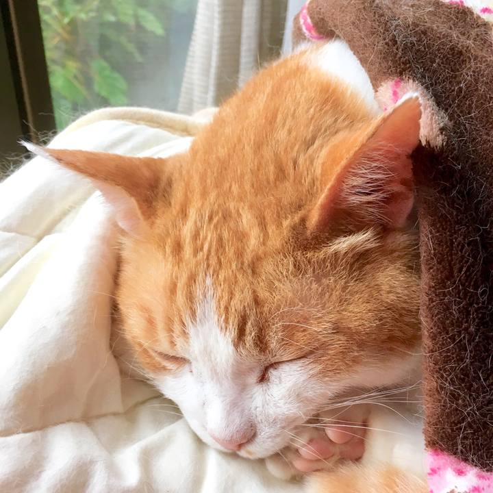 2305bdb6 abdb 4169 b10b f169289a8634 1563865685242