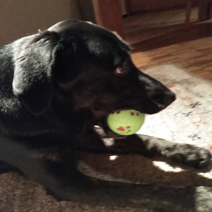 2305d5e5 f519 4ce7 810b 78706e2478a4 1573821198281