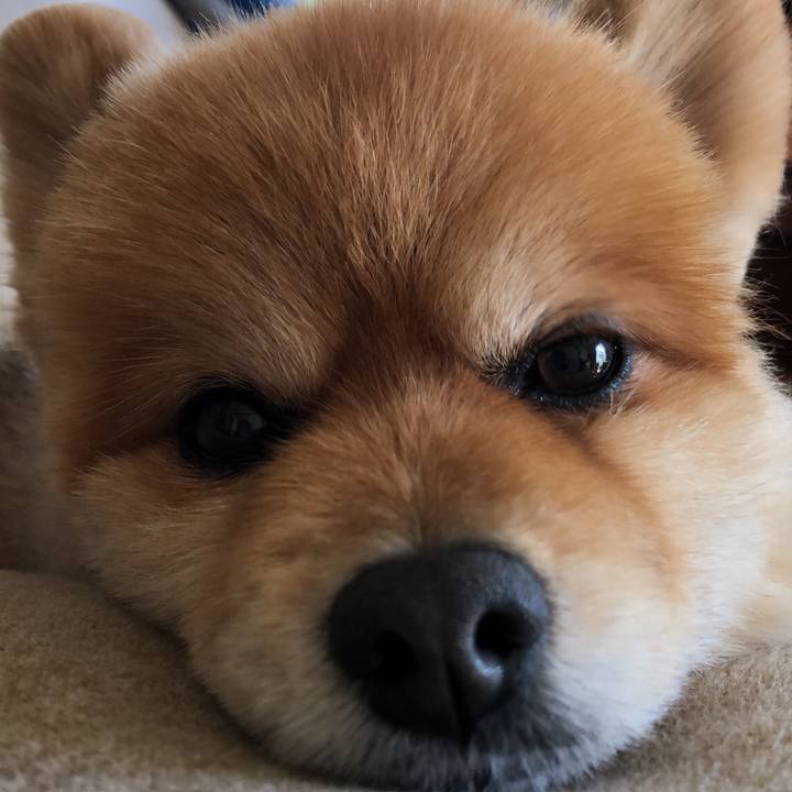 2305f3c4 239e 4b23 a9f1 acedddca2e6b 1618261529547