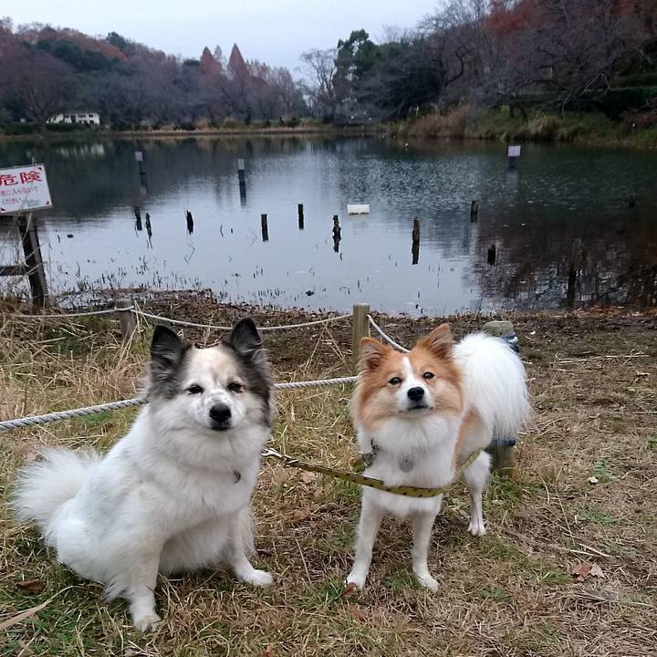 2305f867 f739 4ec5 8b97 6f787b751d2c 1576931932232