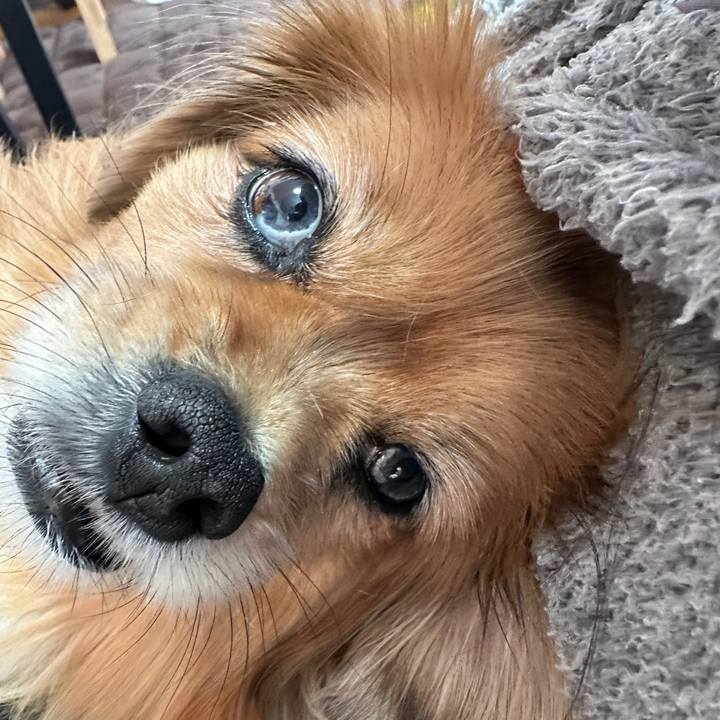 23060e82 4d02 4ea2 ac84 851f3119c536 1735347169956