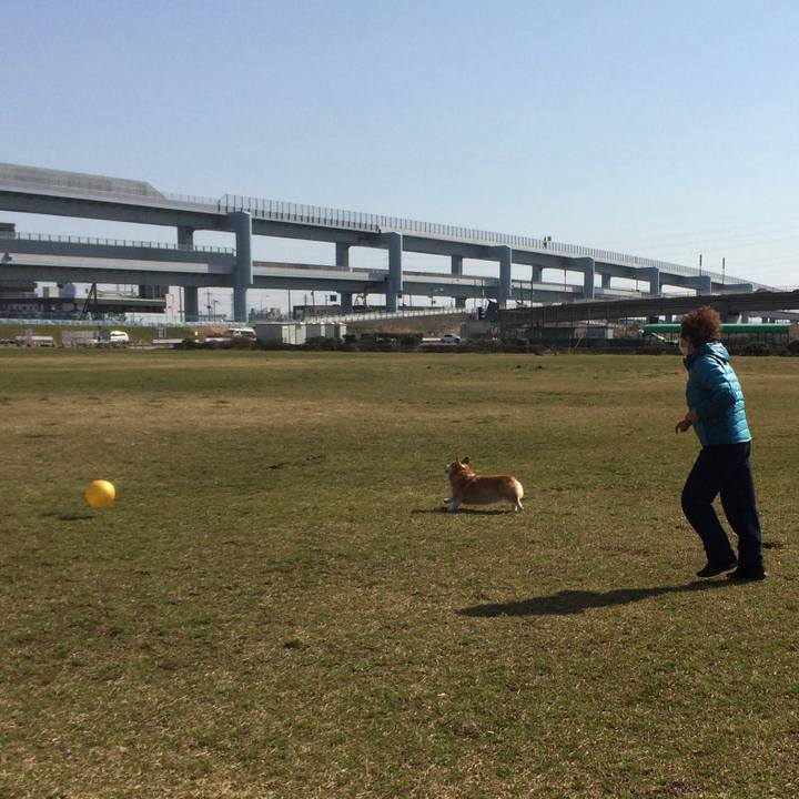 230647f1 9576 4fc1 8fc2 449d1c6c0143 1540693727669