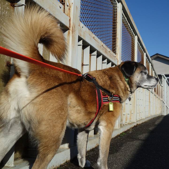 23065167 f1f7 429f bbb3 42a4518d92a6 1660089899360