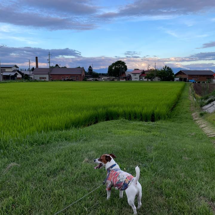 23066b17 ccc4 4694 89ff 5cdd9024030b 1627987159290