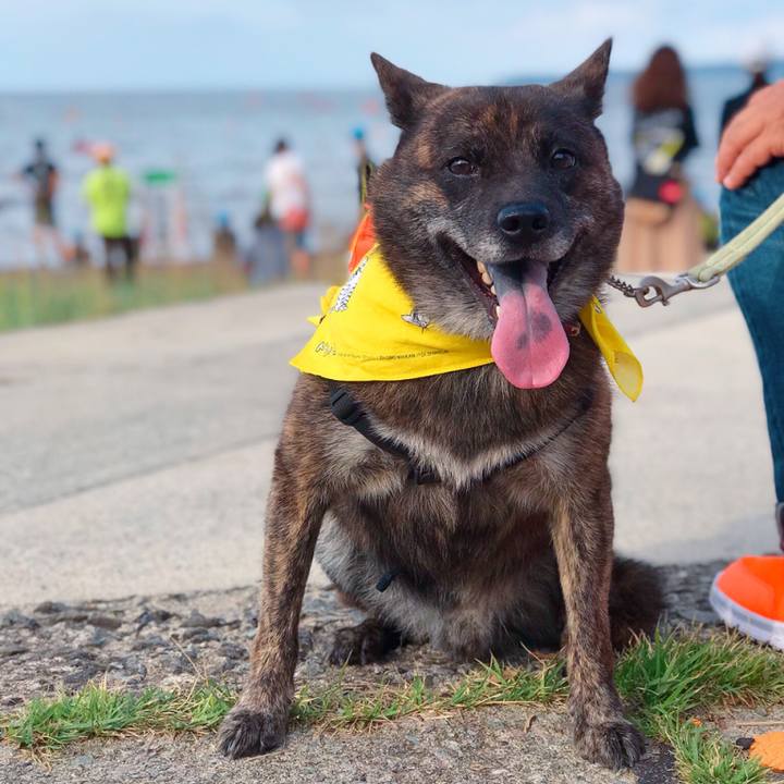 2306b2c2 e650 46a6 8679 608a6762616b 1567292785184