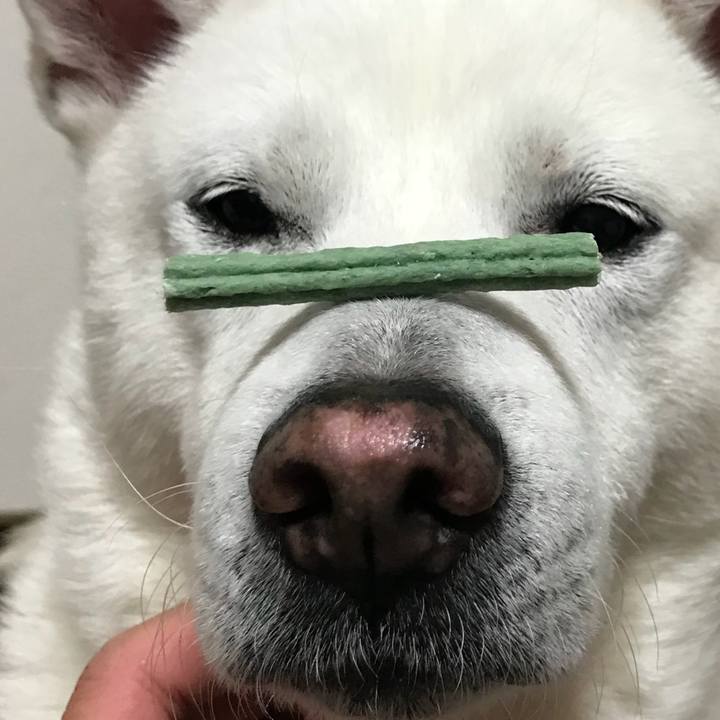 2306d12e c074 4f62 b735 436d6c387f55 1524407103473