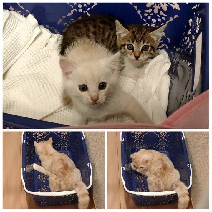 2306d7e4 a097 4e44 b7ae bb0682705dae 1663647790670