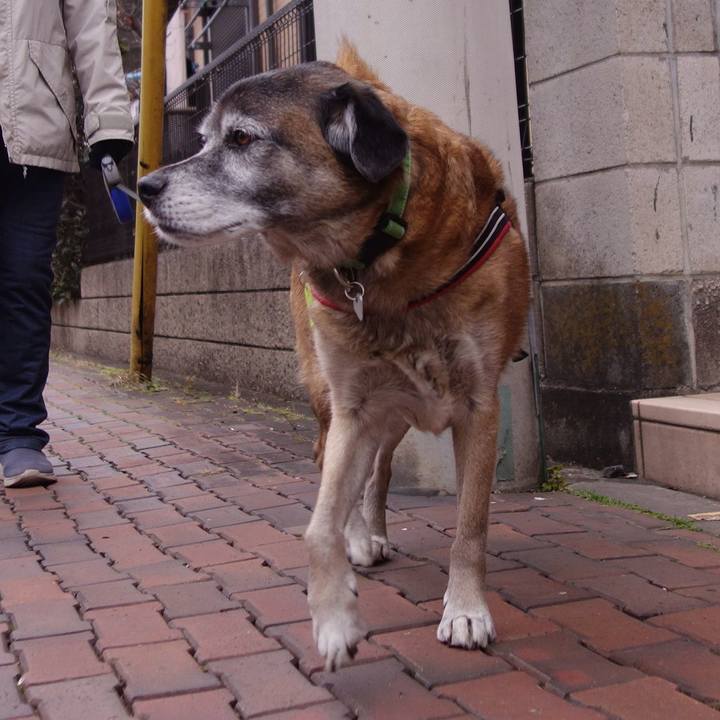 23073c7b 815d 495e 9a3f b84026e7a3d2 1547340542986