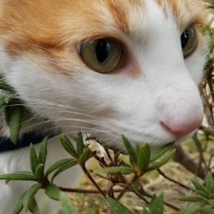 23074972 c458 4bf2 ae25 15df9f9708e3 1521638478858