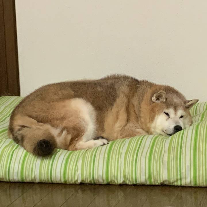 23077508 350e 4fc5 834a 822603d3b84e 1634460804283