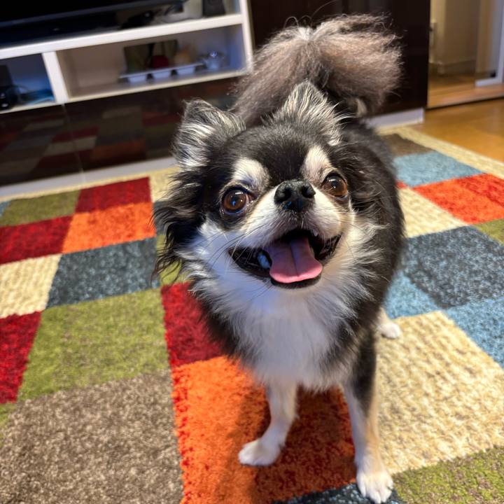 230783e9 781b 4062 a4ac 9161359f6a84 1754153581007