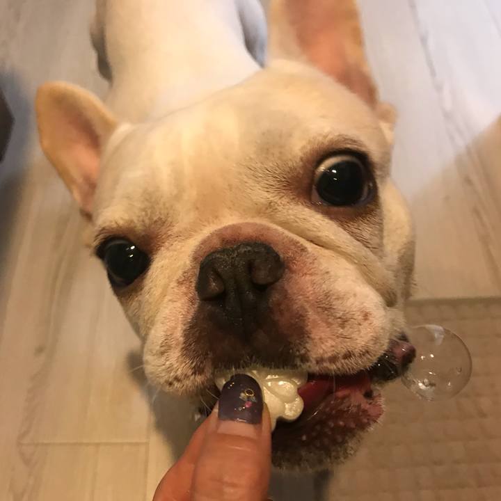 2307893e 32f4 4b4b 8230 2e5dd61d6f5a 1534474629604