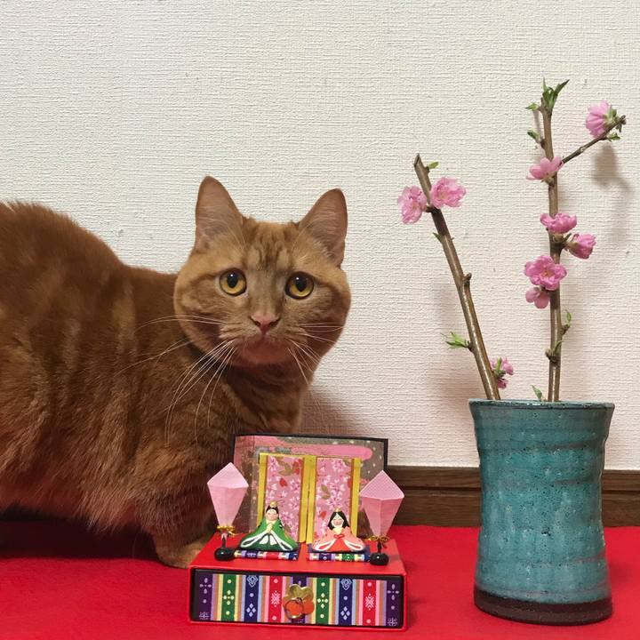 2307897b 4e2d 4911 ad76 5e0c2b24de0f 1551601893134